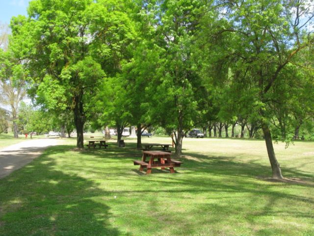 Omeo Caravan Park - Omeo: Shady picnic areas.