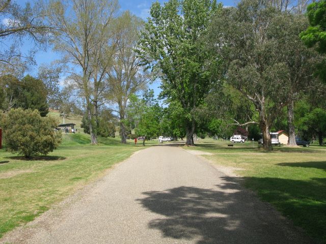 Omeo Caravan Park - Omeo: Good paved roads throughout the park