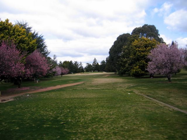 Duntryleague Golf Course - Orange: Fairway view Hole 4