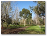Snowy River Orbost Camp Park - Orbost: Powered sites for caravans in beautiful native setting