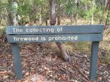 Wollomombi Gorge Campground - Oxley Wild Rivers National Park: Firewood is provided and most sites have a fire pit.