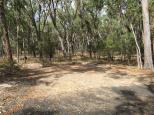 Wollomombi Gorge Campground - Oxley Wild Rivers National Park: Generous camp site in glorious bush land.