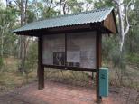 Wollomombi Gorge Campground - Oxley Wild Rivers National Park: Tourist information.