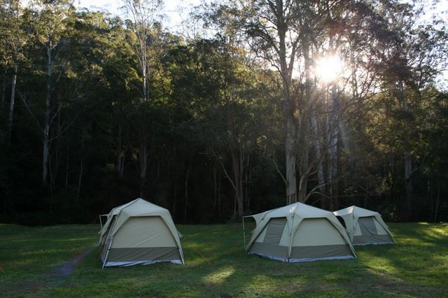 Glenworth Valley Horse Riding and Outdoor Adventures - Peats Ridge: Camping in Glenworth Valley