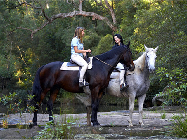 Glenworth Valley Horse Riding and Outdoor Adventures - Peats Ridge: Horseriding in Glenworth Valley is great fun