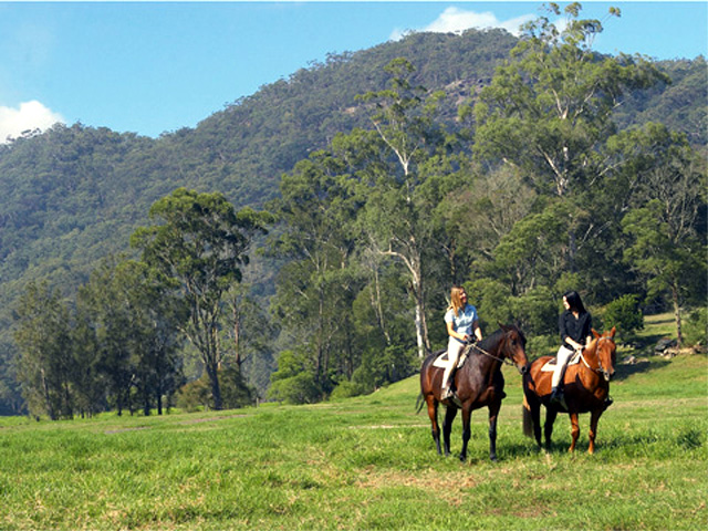 Glenworth Valley Horse Riding and Outdoor Adventures - Peats Ridge: Magnificent country for horseriding in Glenworth Valley