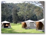 Glenworth Valley Horse Riding and Outdoor Adventures - Peats Ridge: Camping in Glenworth Valley