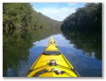 Glenworth Valley Horse Riding and Outdoor Adventures - Peats Ridge: In addition to being Australia's premier horse riding Glenworth also operates one of the Australia's leading kayaking companies via their sister company, Ocean Planet Kayak Tours.