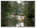 Glenworth Valley Horse Riding and Outdoor Adventures - Peats Ridge: Kayaking in a magnificent valley