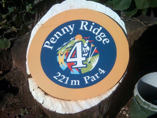 Penny Ridge Resort Golf Course - Carool: Penny Ridge Resort Hole 4: Par 4, 221 metres