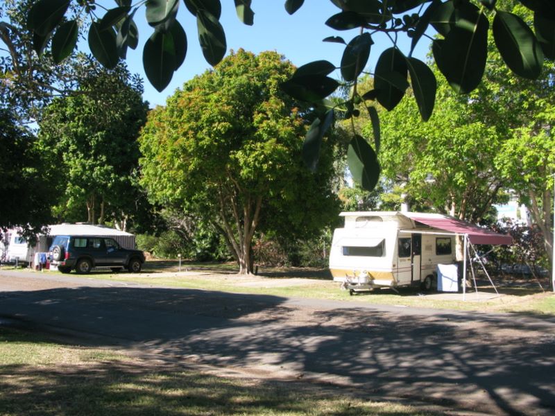 Pialba Beachfront Tourist Park - Pialba Hervey Bay: Shady powered sites for caravans