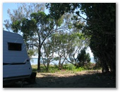 Pialba Beachfront Tourist Park - Pialba Hervey Bay: Powered sites for caravans with water views.