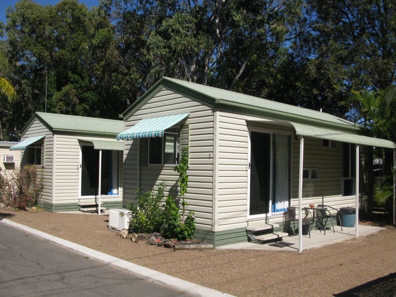 BIG4 Point Vernon Holiday Park - Point Vernon: Budget cabin accommodation