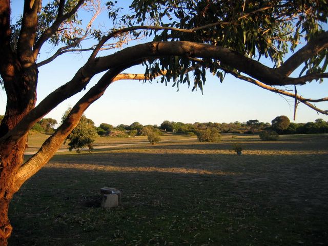 Coorong Caravan Park - Policemans Point: Area for tents and camping