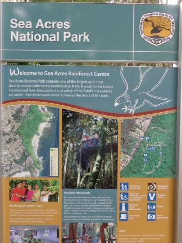 Melaleuca Caravan Park - Port Macquarie: Sea acres wonderful rain forest walk