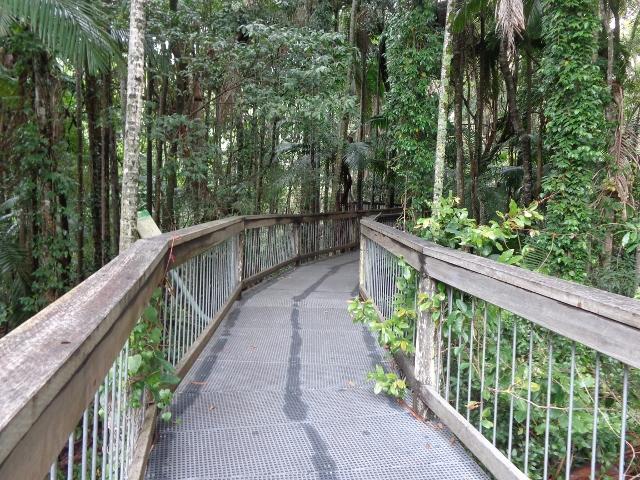 Melaleuca Caravan Park - Port Macquarie: Rain forest walk at Sea acres