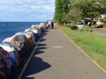 Sundowner Breakwall Tourist Park - Port Macquarie: The break wall runs along the back of the park 