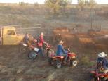 Indee Station Farmstay - Pt Hedland: Cattle muster at Indee Station