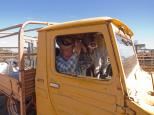 Indee Station Farmstay - Pt Hedland: Ah, come on, let me drive...