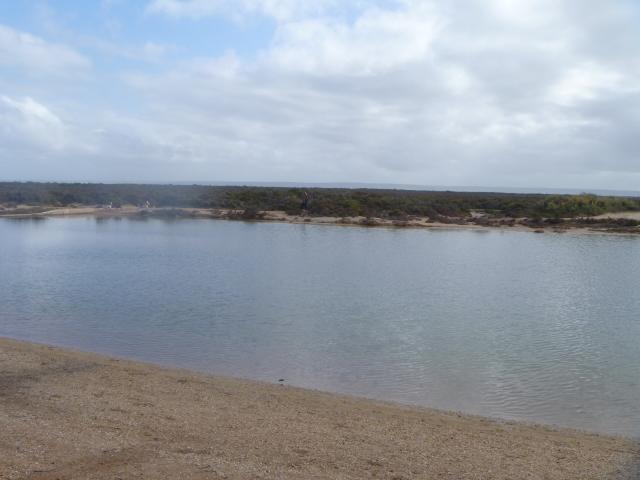 Port Wakefield Caravan Park - Port Wakefield: View from our van.  Safe swimming.  I imagine it will be very popular here in Summer