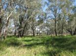 Ooma Creek Rest Area - Pullabooka: Natural bushland beside the rest area.