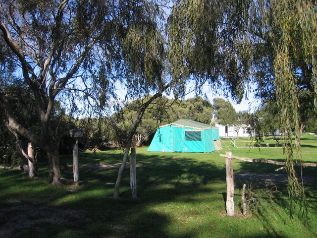 Lakeside Tourist Park 2006 - Robe: Area for tents and camping