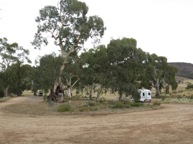 Burra Creek Gorge Campground - Worlds End: Large area.