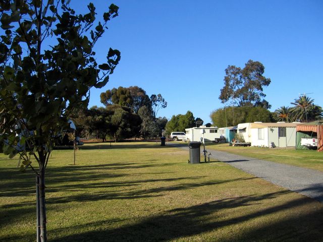 Riverside Caravan Park - Robinvale: Area for tents and camping
