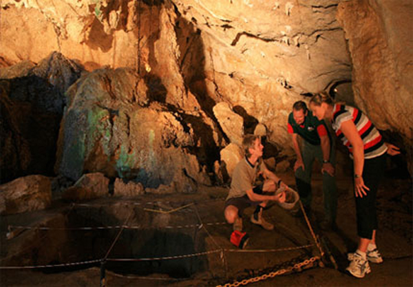 Capricorn Caves Tourist Park - Rockhampton: Capricorn Caves