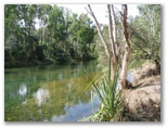 Bushy Parker Rest Area - Rollingstone: Crystal clear water in the adjacent creek