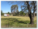 Rylstone Caravan Park - Rylstone: Area for tents and camping