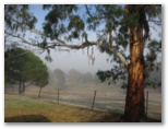 Rylstone Caravan Park - Rylstone: Golf course in early morning fog