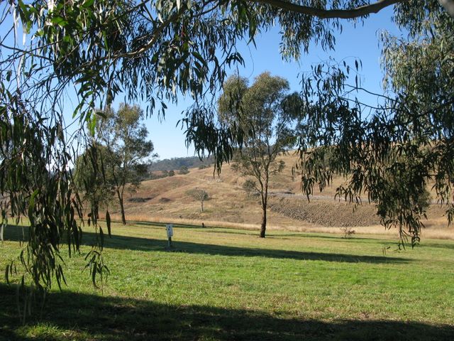 Cudgegong Waters Park - Rylstone: Area for tents and camping