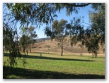 Cudgegong Waters Park - Rylstone: Area for tents and camping