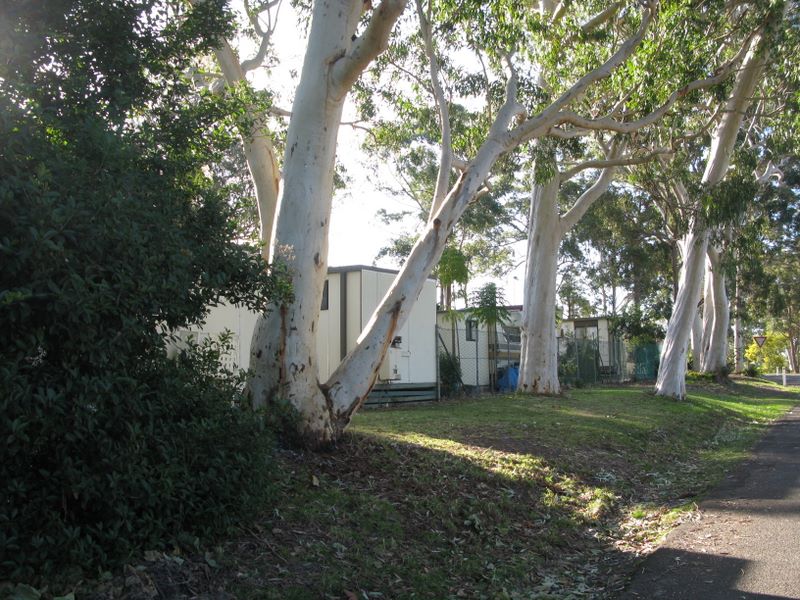 Palm Beach Caravan Park - Sanctuary Point: View of the park from the street.