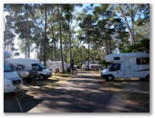 Scarness Beachfront Tourist Park - Scarness: Powered sites for caravans and motorhomes