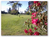 Seabrook Golf Club Inc. - Wynyard: View of the tee on Hole 8.