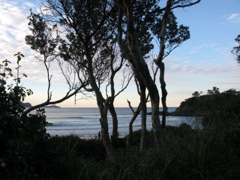 North Coast Holiday Park Seal Rocks - Seal Rocks: The beach is directly across the road from the park.