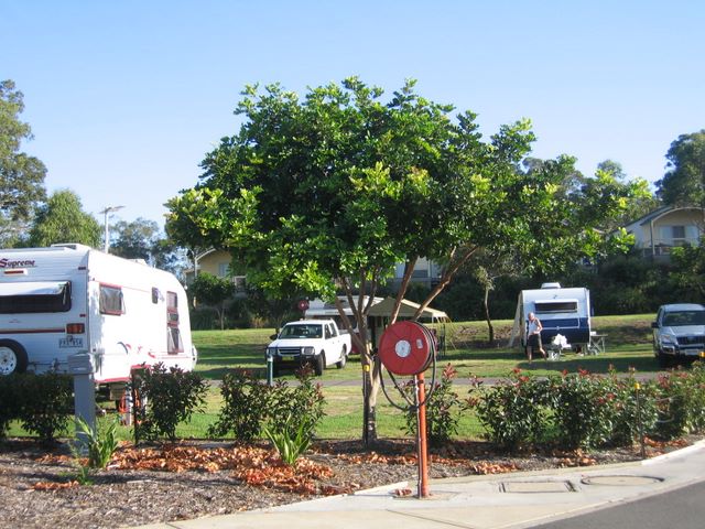 Soldiers Point Holiday Park - Soldiers Point: Powered sites for caravans