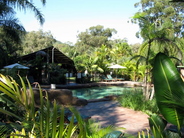 BIG4 Trial Bay Eco Tourist Park - South West Rocks: Swimming pool and camp kitchen