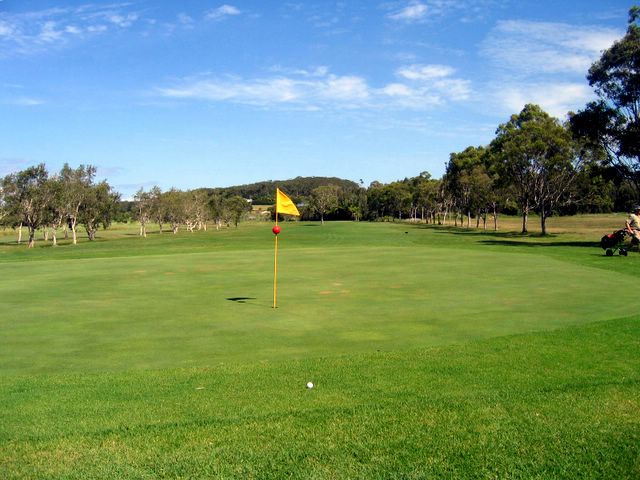 South West Rocks Golf Course - South West Rocks: Green on Hole 7 looking back along the fairway