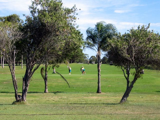 South West Rocks Golf Course - South West Rocks: The course has lots of delightful trees