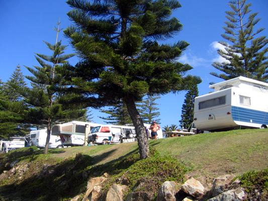 Horseshoe Bay Beach Park - South West Rocks: Powered sites for caravans with sea views