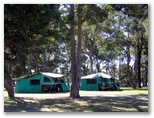 South West Rocks Tourist Park 2002 - South West Rocks: Area for tents and camping