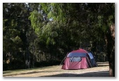 BIG4 St Helens Holiday Park - St Helens: Area for tents and camping