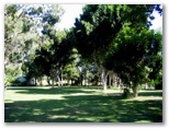 BIG4 Maroochy Palms Holiday Village - Maroochydore: Bushland area for tents and campers