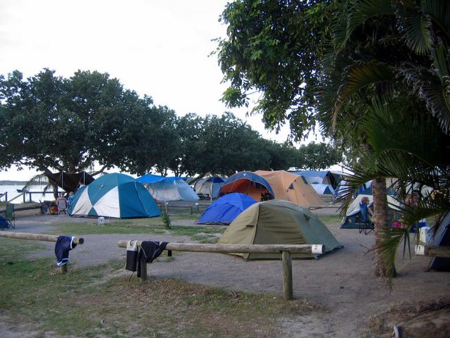 Noosa River Caravan Park - Noosaville: Lots of space for tents and campers