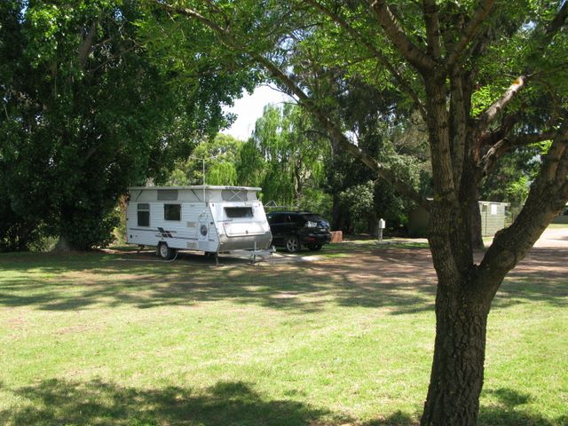 Swifts Creek Caravan and Tourist Park - Swifts Creek: Shady powered sites for caravans