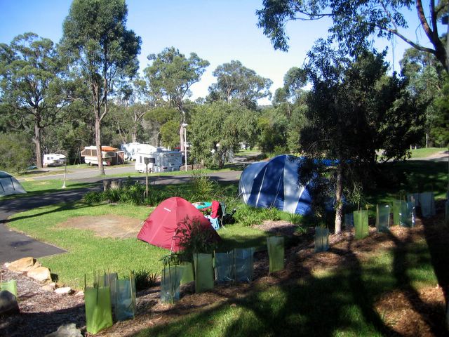 Lane Cove River Tourist Park - Macquarie Park: Sites for tents and campers