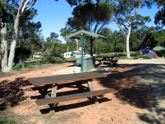Lane Cove River Tourist Park - Macquarie Park: BBQ and Picnic area